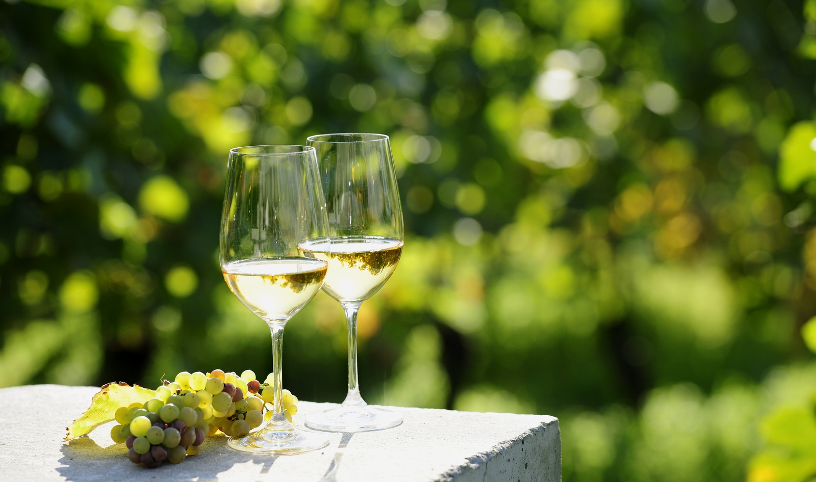 10 Exceptional White Wines You Didn’t Know Were Vegan