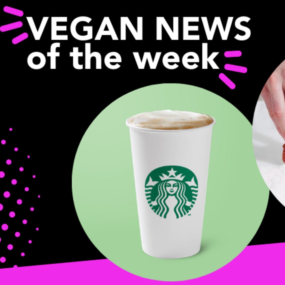 New Oat Drink at Starbucks, Meatless Mignon, and More Vegan News of the Week