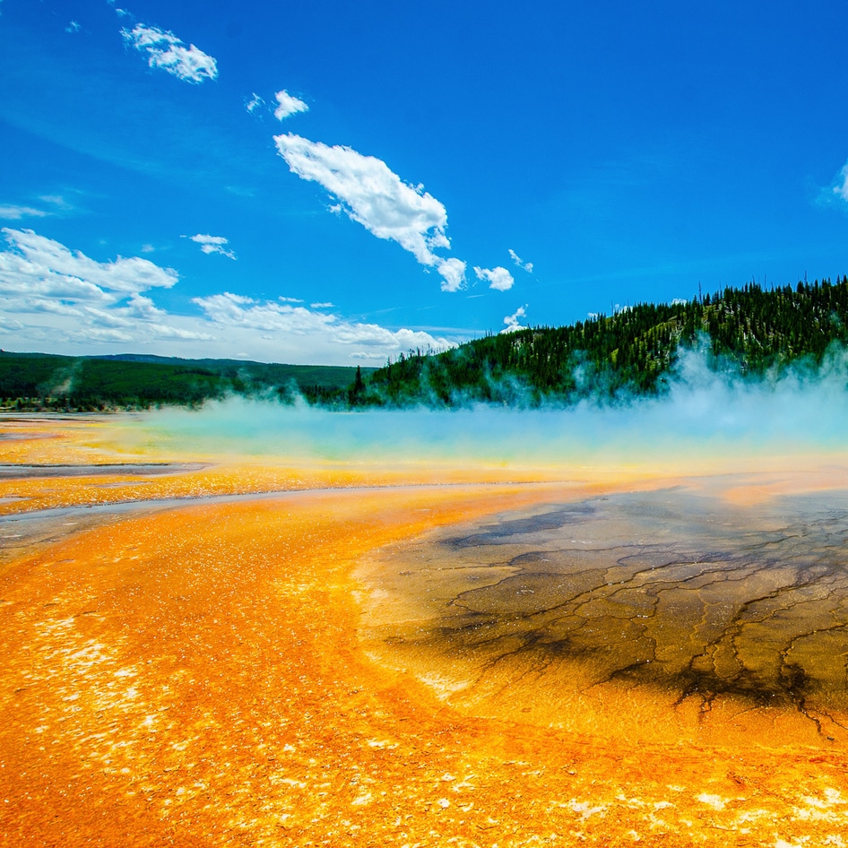 Microbes from Yellowstone Helped Make This Vegan Meat. Now, 7 Park Lodges Serve It for Breakfast.