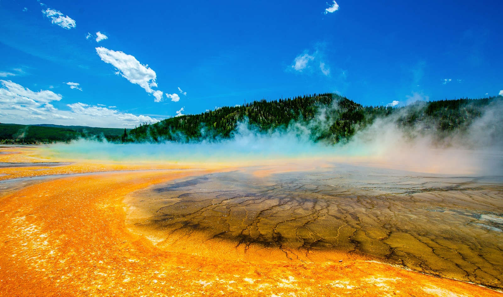 Microbes from Yellowstone Helped Make This Vegan Meat. Now, 7 Park Lodges Serve It for Breakfast.