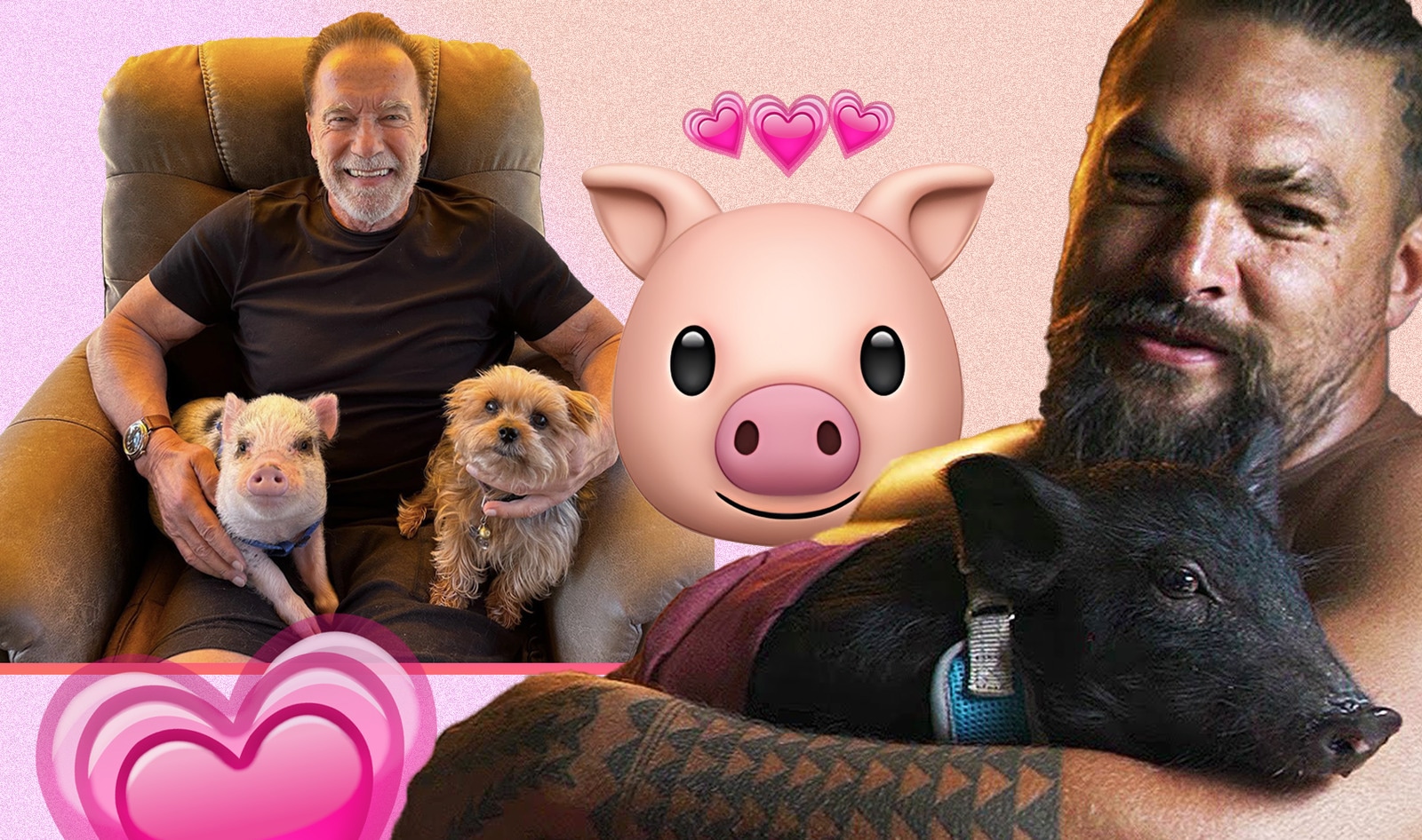 How Jason Momoa, Arnold Schwarzenegger, and Their Pig Friends Redefine Masculinity