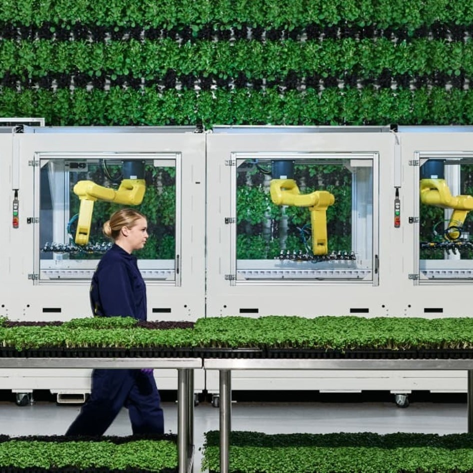 Can Vertical Gardens Feed the World? Probably Not (But It's Ok)