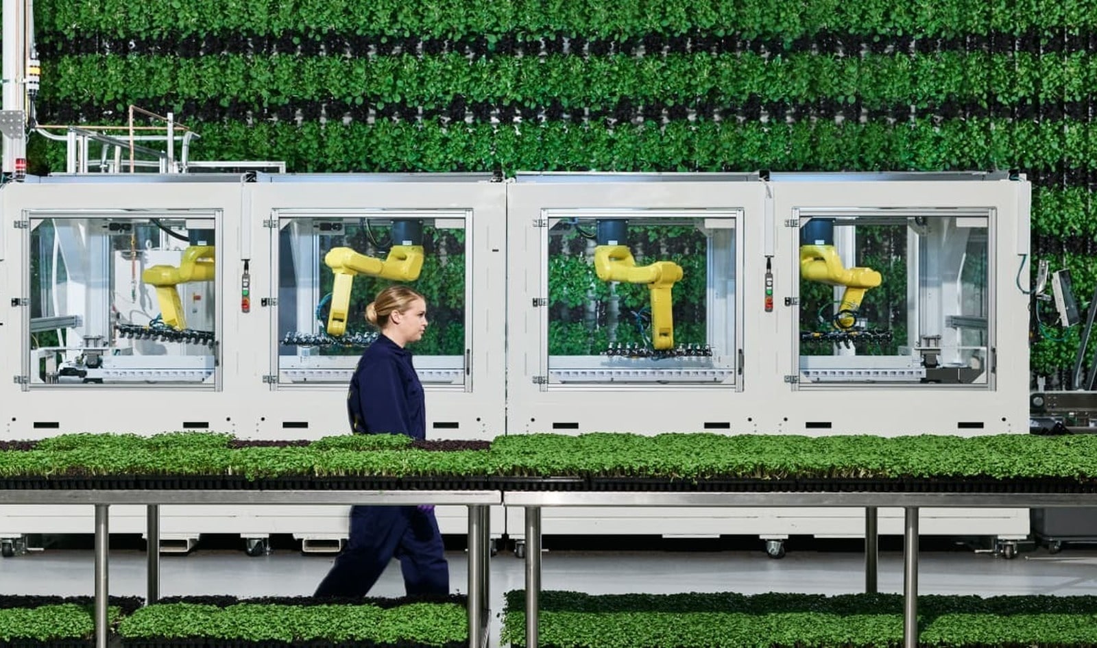 Can Vertical Gardens Feed the World? Probably Not (But It's Ok)