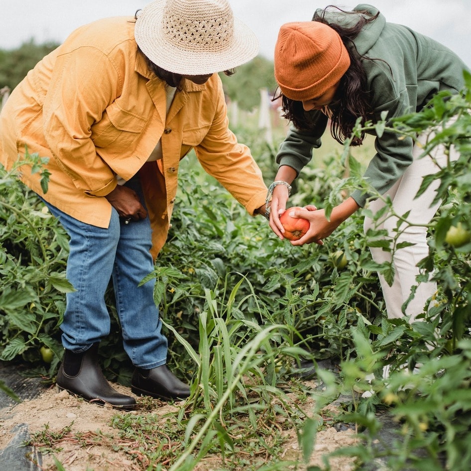 Is Veganic Gardening Worth It? How To Get a Thriving Backyard Without Using Animal Products