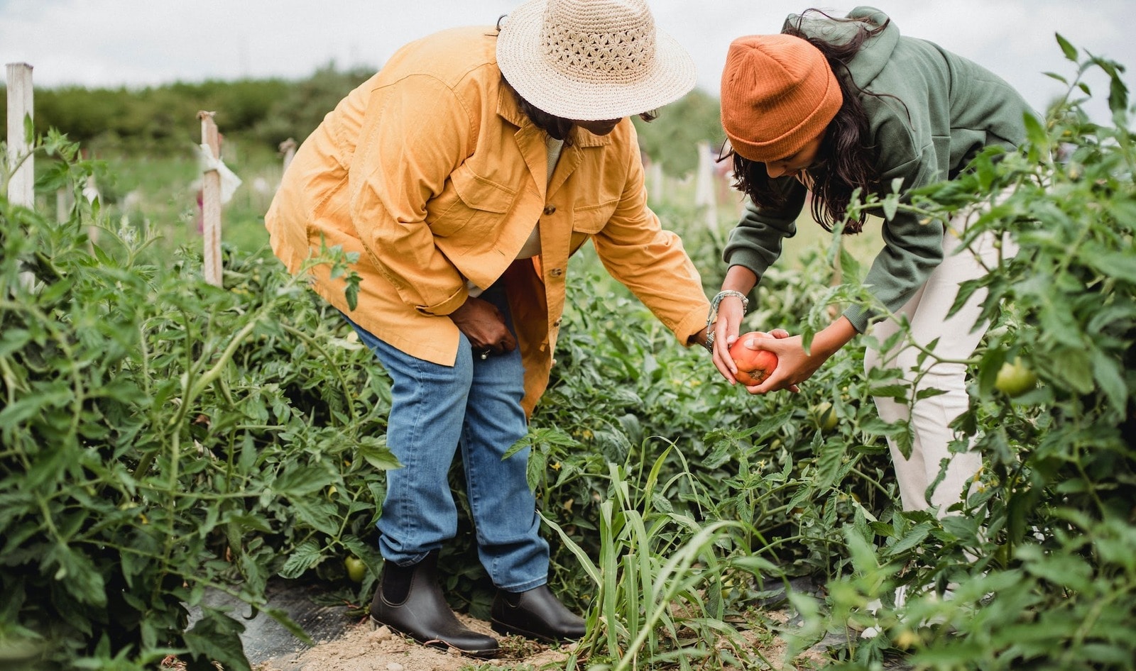 Is Veganic Gardening Worth It? How To Get a Thriving Backyard Without Using Animal Products