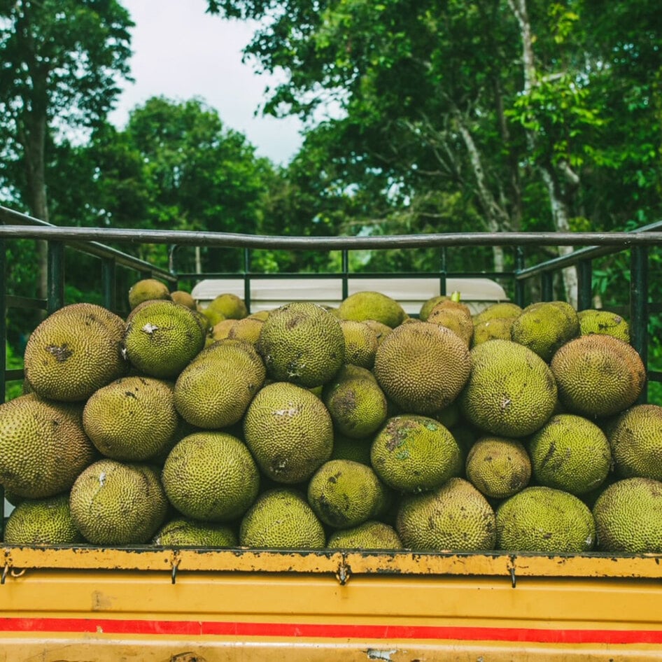 Another Surprising Use for Jackfruit: Flour That's Diabetes-Friendly and Gluten-Free