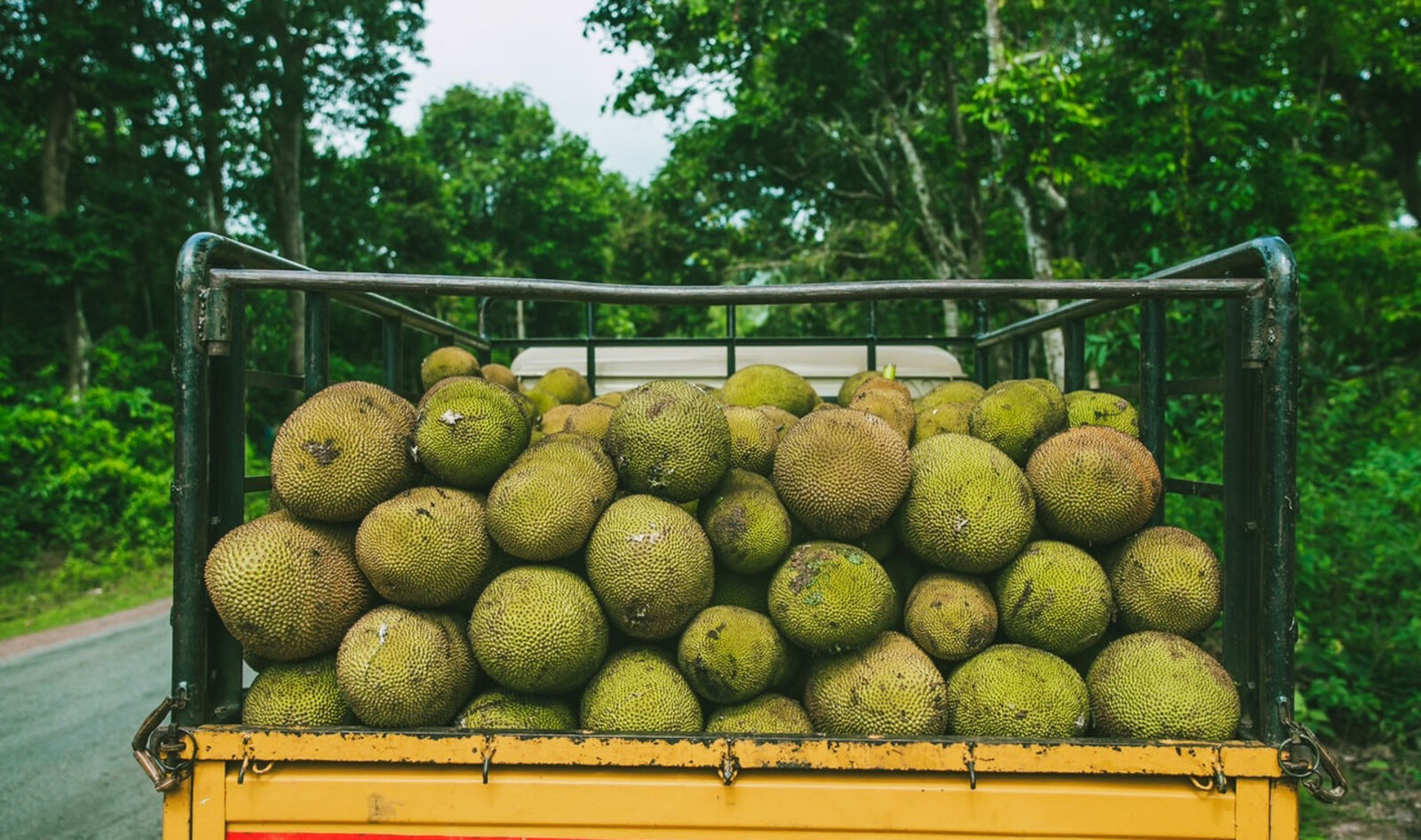 Another Surprising Use for Jackfruit: Flour That's Diabetes-Friendly and Gluten-Free