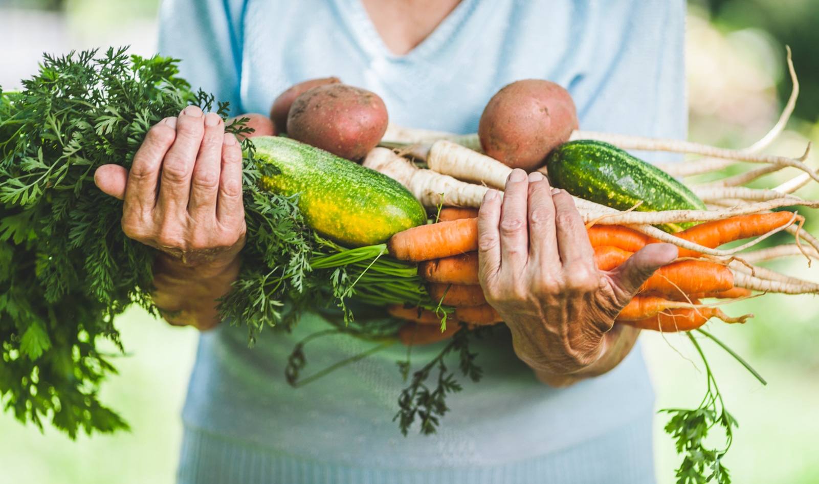 Is a Plant-Based Diet the Best for Senior Health?