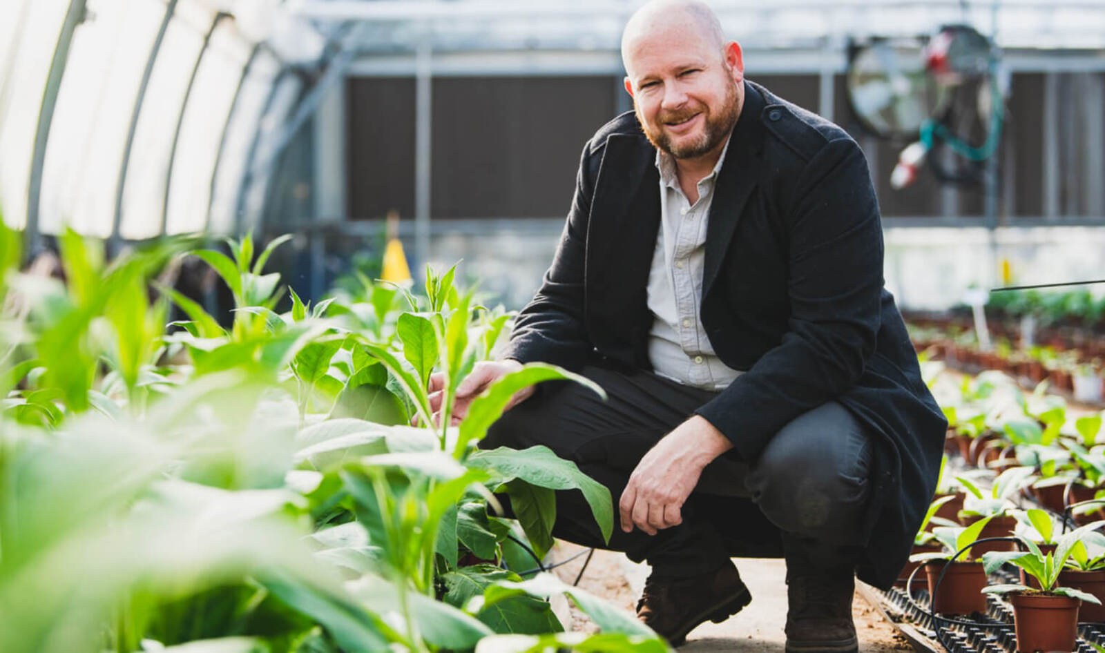 With $10 Million Boost, Tobacco Plants Are Getting a New Life in the Cultivated Meat Industry