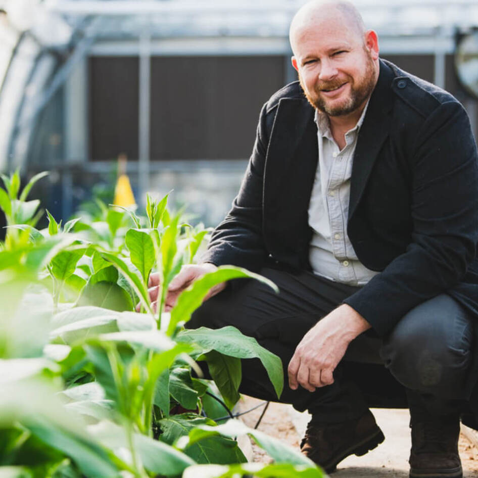 With $10 Million Boost, Tobacco Plants Are Getting a New Life in the Cultivated Meat Industry