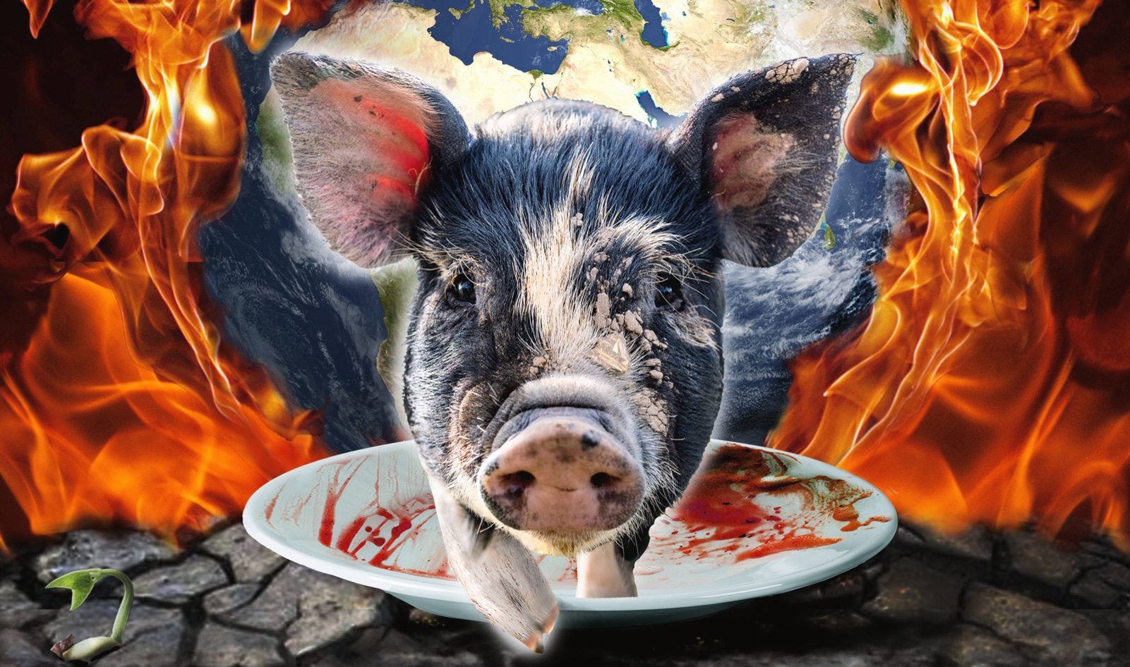 Coming Soon: New Documentary 'I Could Never Go Vegan' Tackles Vegan Skepticism