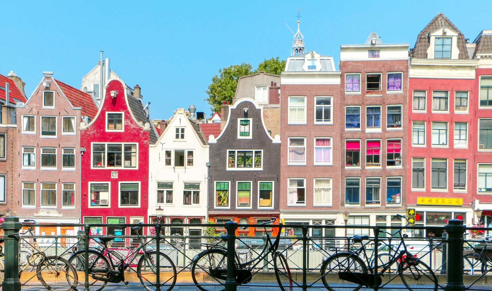 Amsterdam Is Vying With 24 Other Cities for the Title of "Plant-Based Capital"