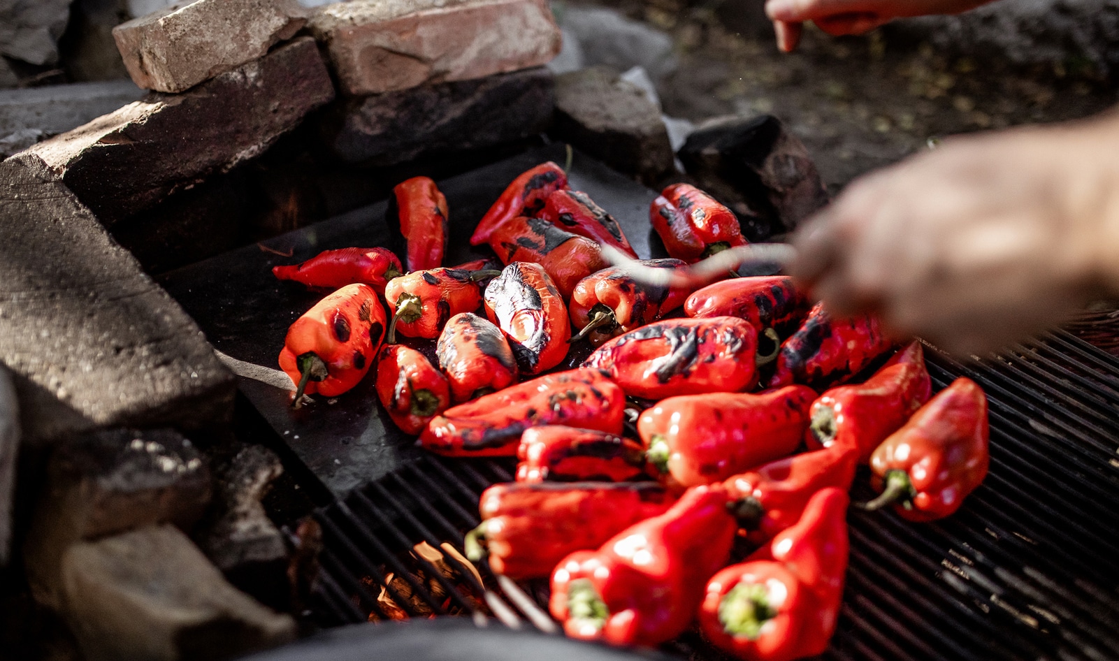 Poblano, Bell, and More: 8 Mild Peppers and the Best Ways to Eat Them