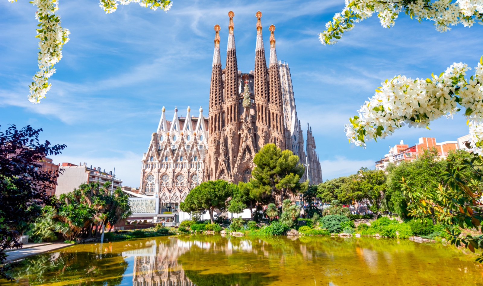 Exploring Barcelona's Best Restaurants: From Plant-Based Doughnuts to Fish-Free Sushi