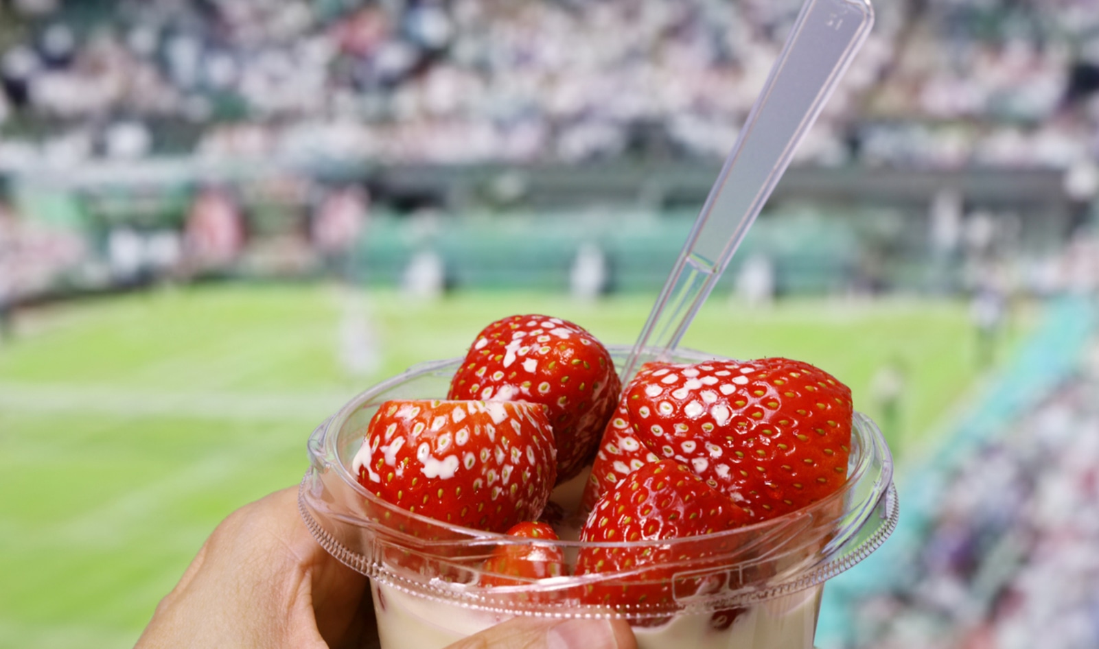 From Wimbledon to the US Open, the 2024 Grand Slams Menus Serve Up Plants