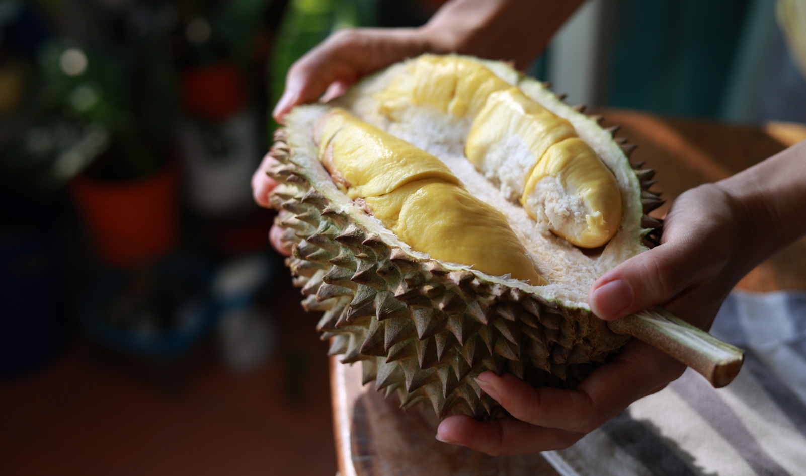 It's So Stinky! But the Nutrient-Packed Durian Is a Must-Try Fruit