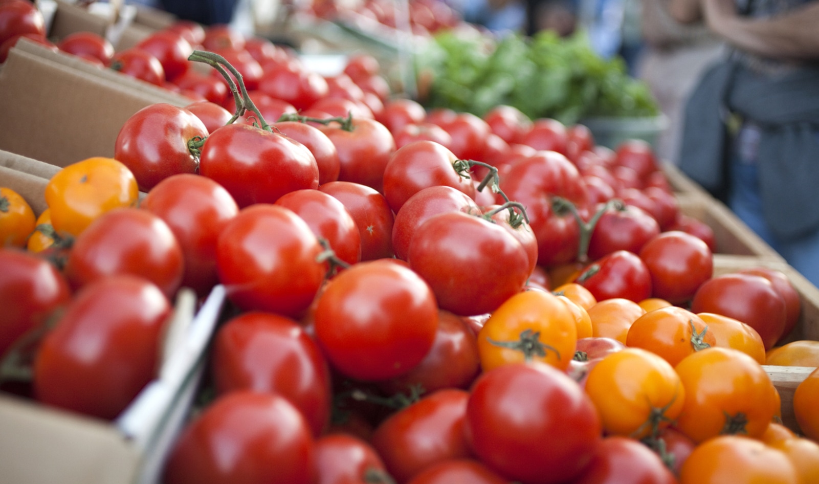 This is Officially the Best Way to Store Tomatoes