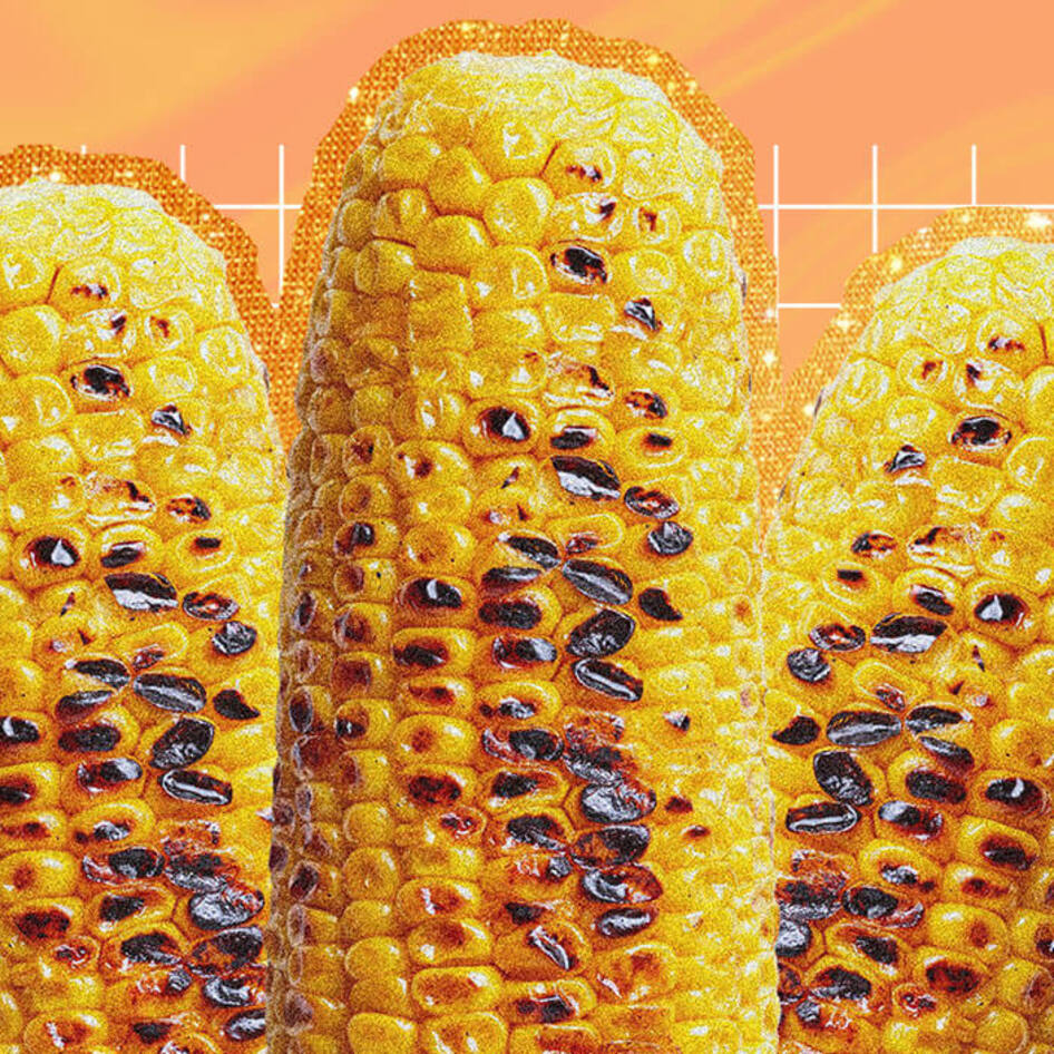 To Grill or to Boil? What's the Best Way to Cook Corn on the Cob?