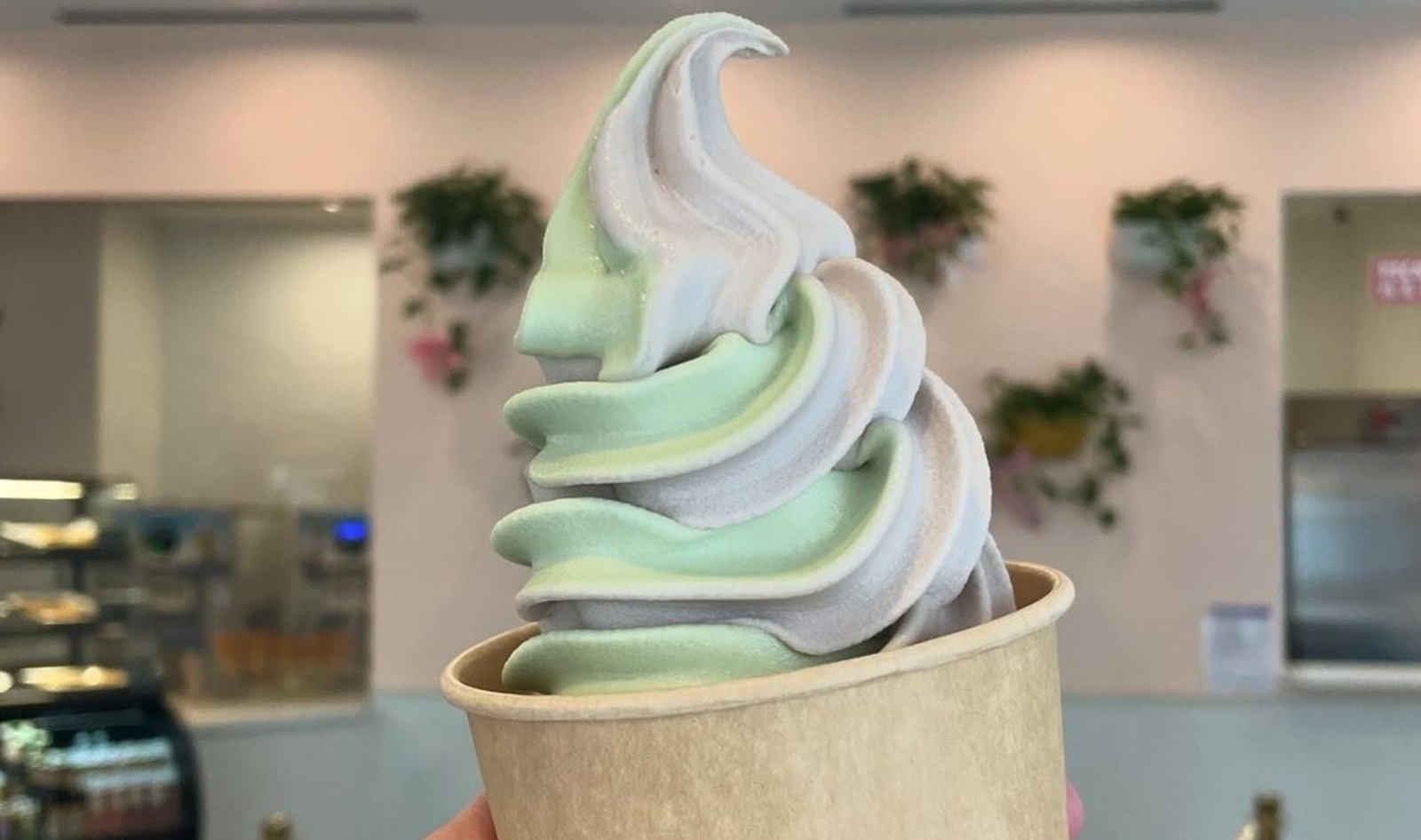 Where to Find Creamy, Delicious Dairy-Free Soft-Serve Ice Cream in the US