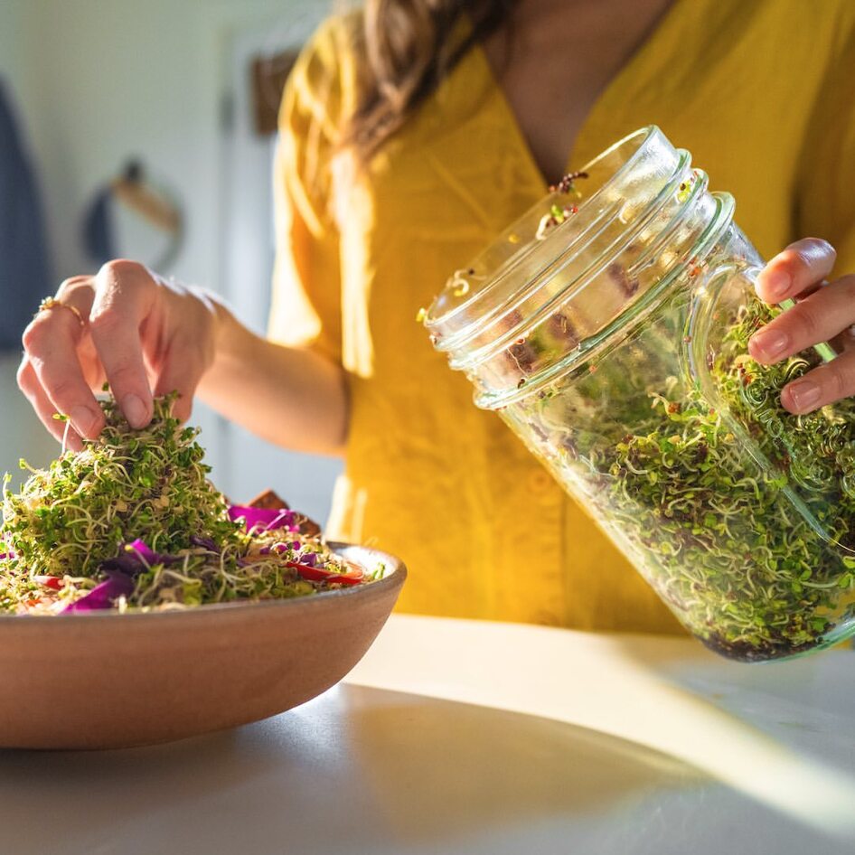 How to Start Your Sprouting Journey, According to an Expert