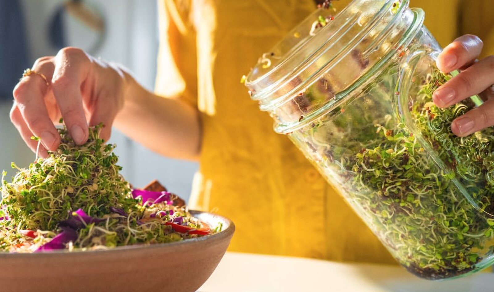 How to Start Your Sprouting Journey, According to an Expert