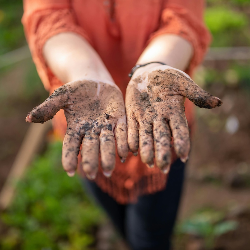 TikTokers Are Eating Dirt. Should You?