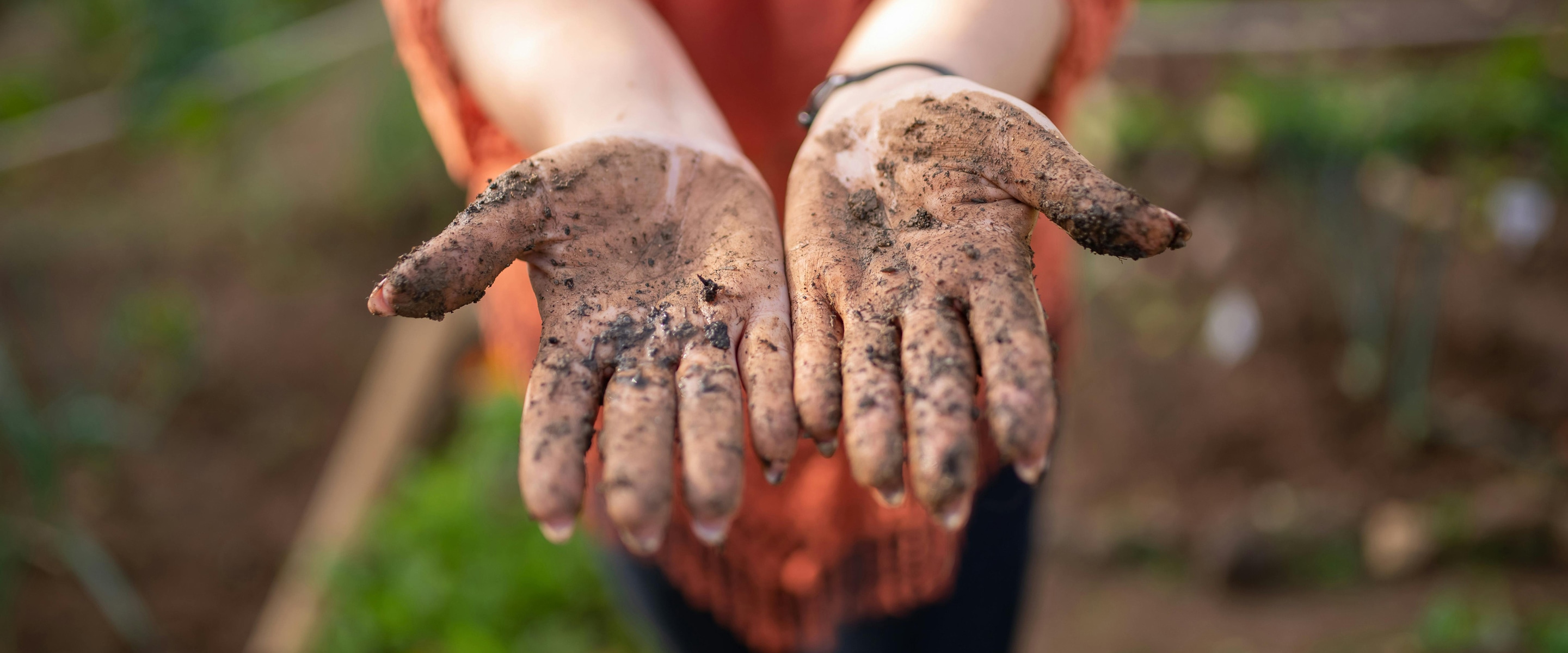 TikTokers Are Eating Dirt. Should You?