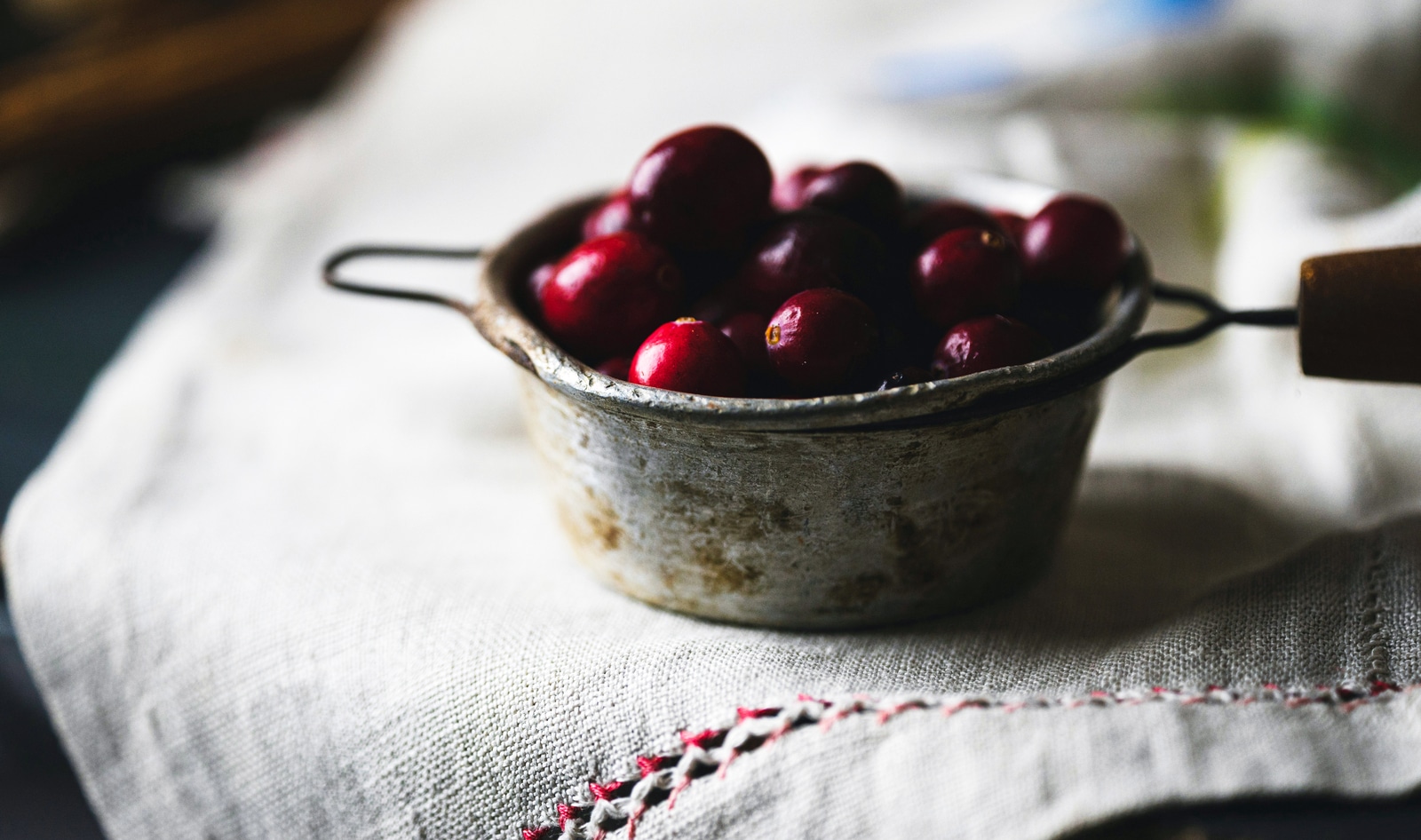 Cranberries are Good for Your Heart, Gut, and Brain: Eat More With These 6 Recipes