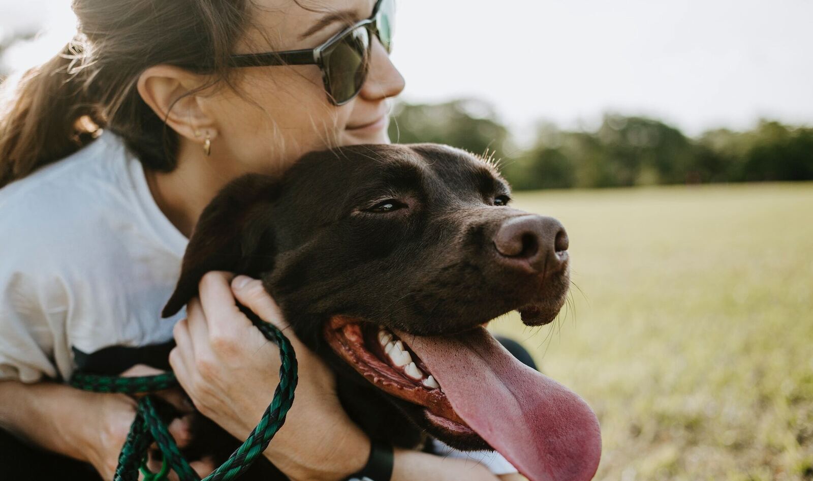 Can Dogs Be Vegan? We Asked Dog Food Experts and Their Answers May Surprise You.