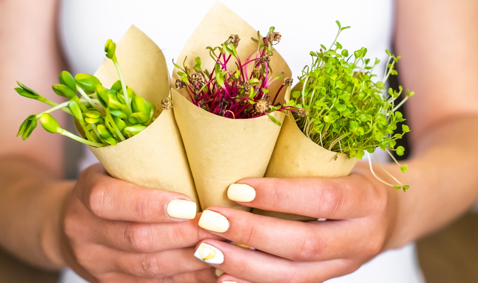 Nutrient Deficient? These 17 Types of Microgreens Might Be the Best Solution