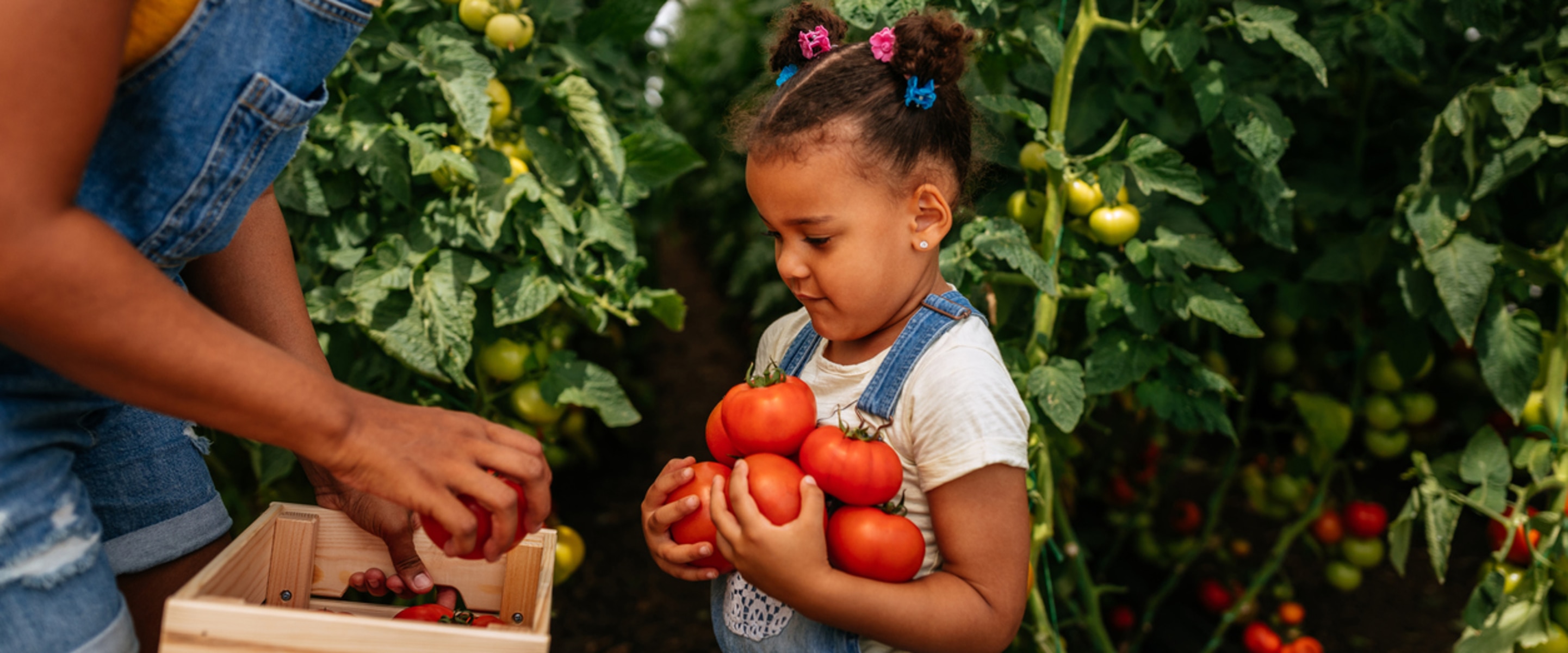 Why Less Meat and More Plants Could Help Solve Food Insecurity