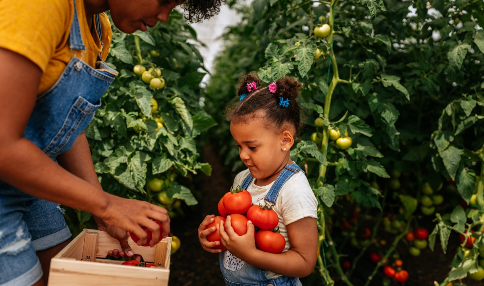 Why Less Meat and More Plants Could Help Solve Food Insecurity