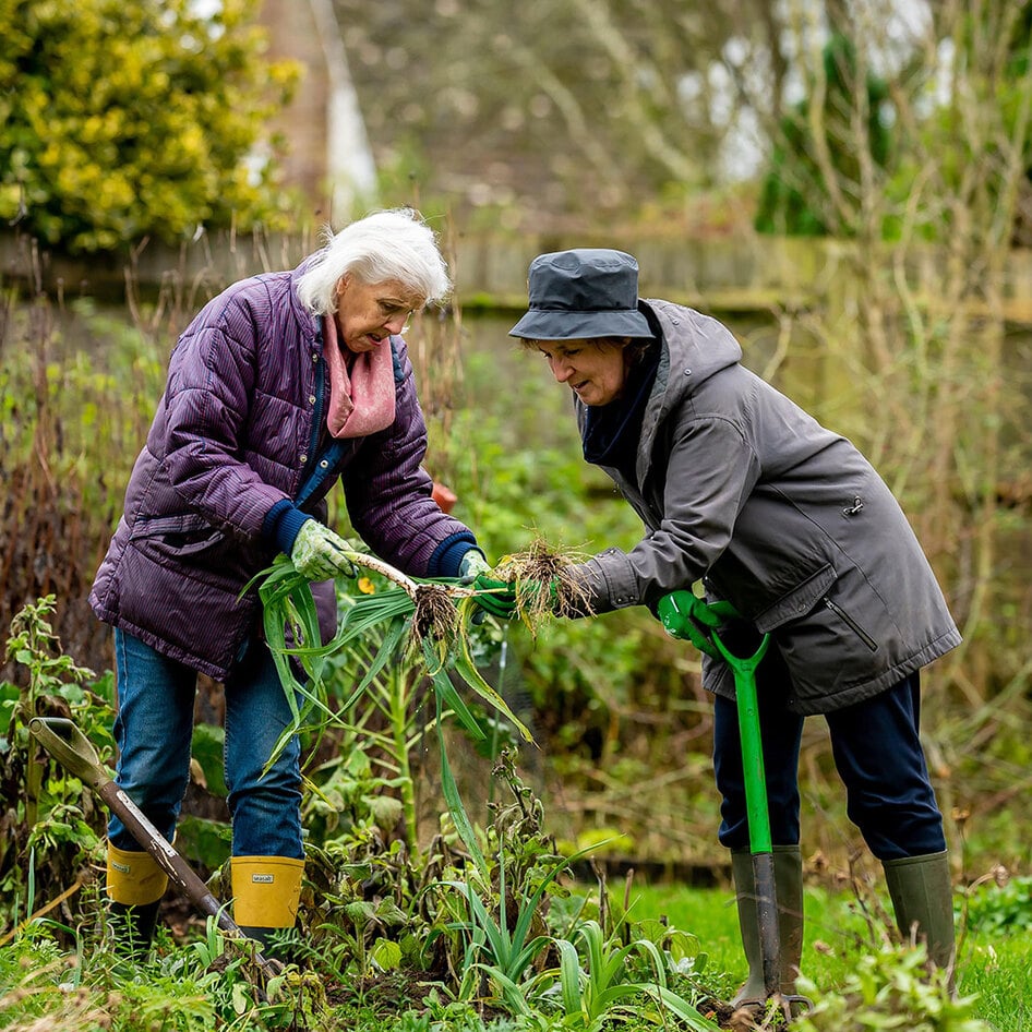 The Joys and Bounty of Planting a Fall and Winter Garden