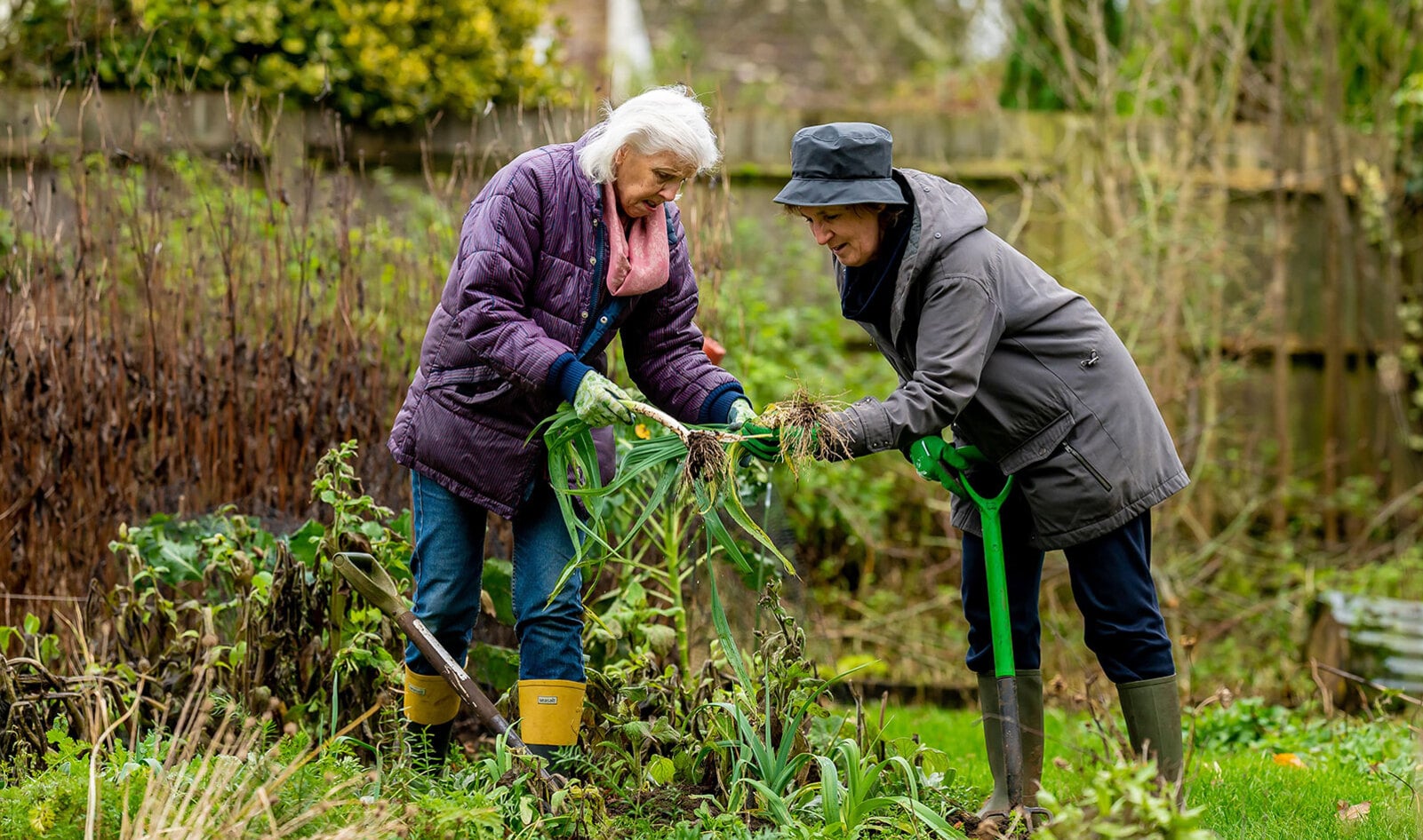 The Joys and Bounty of Planting a Fall and Winter Garden