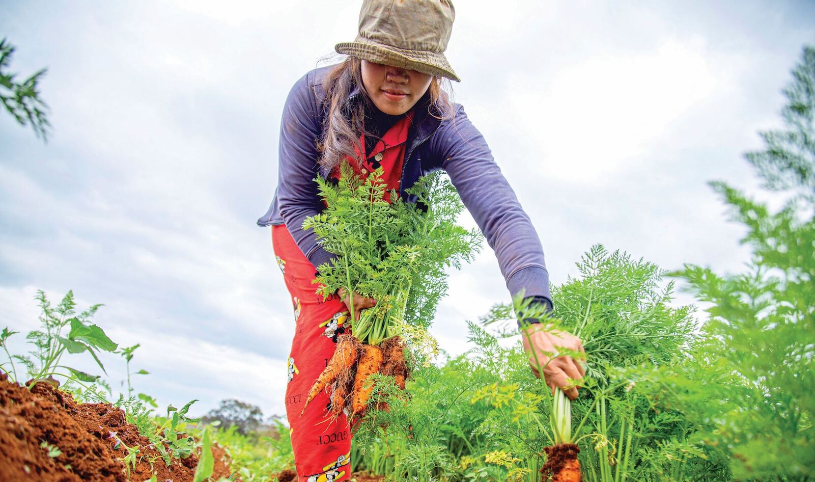 From Broccoli to Beets: 8 Cool Foods to Plant This Fall