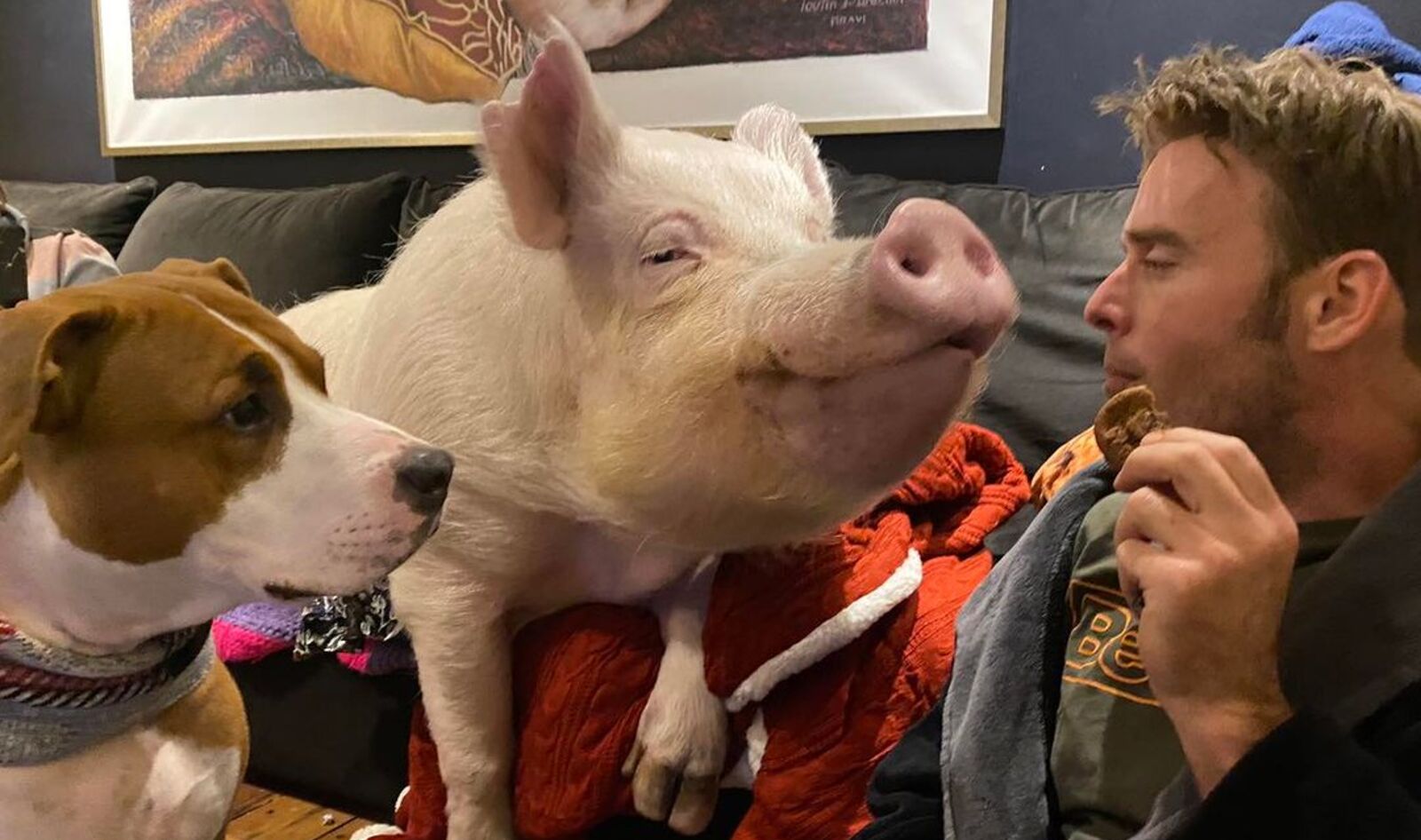 Beloved Farm Animal Ambassador Esther the Wonder Pig Dies