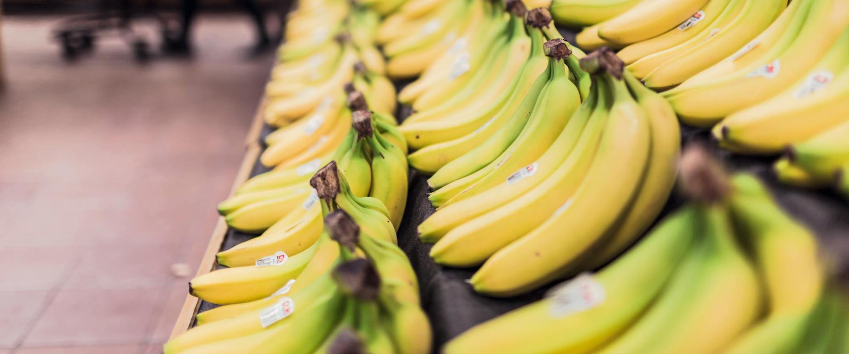 'Lonely' Bananas Can Reduce Food Waste, New Research Finds