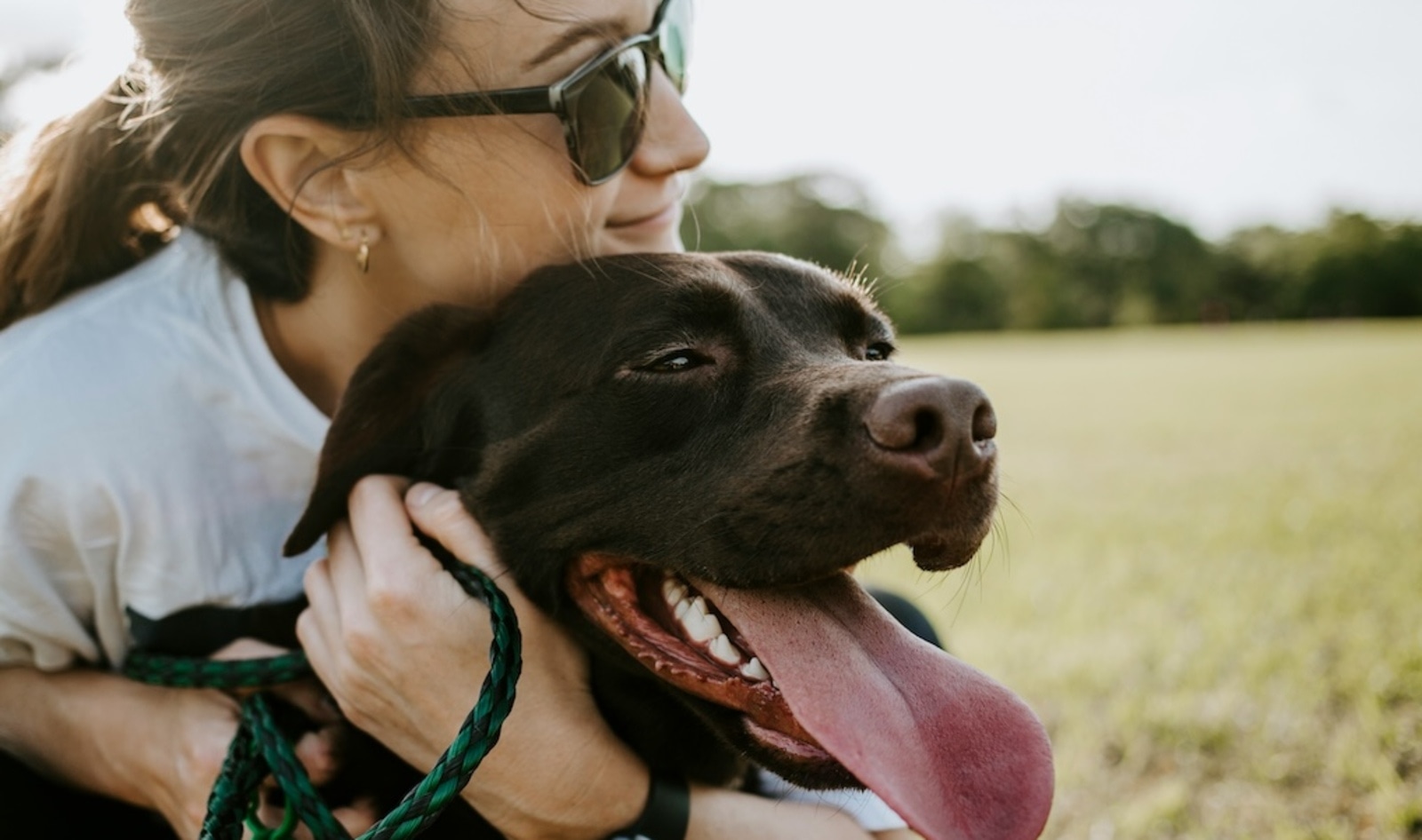 Are You and Your Labrador Obese? New Research Finds a Surprising Link